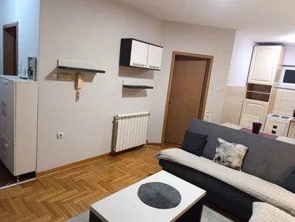 Ksenije Atanasijević | 4zida.rs