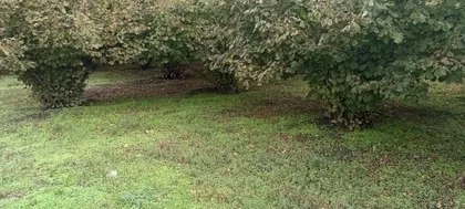 Senćanski Put | 4zida.rs