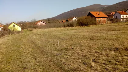 14.Avgust | 4zida.rs