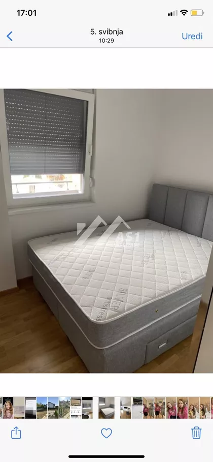 Put Doktora Goldmana | 4zida.rs