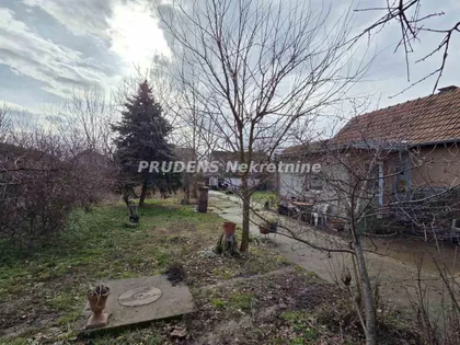 Dušana Vukasovića | 4zida.rs