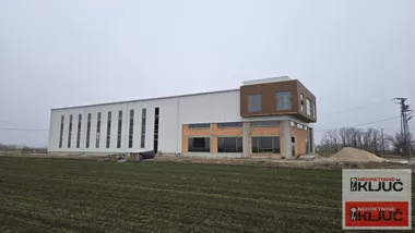 Čenej