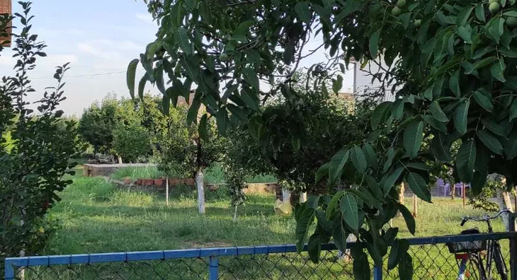Plac | 4zida