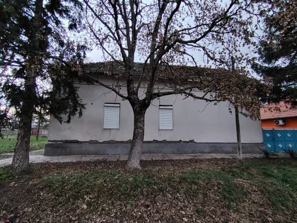 Zmaj Jovina | 4zida.rs