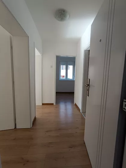 Rentgenova 17 | 4zida.rs