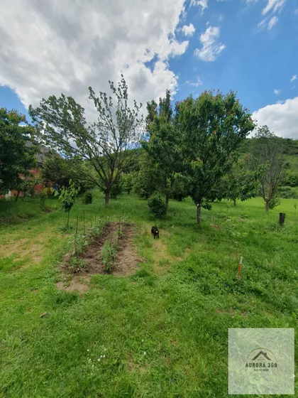 Vrdnik | 4zida.rs