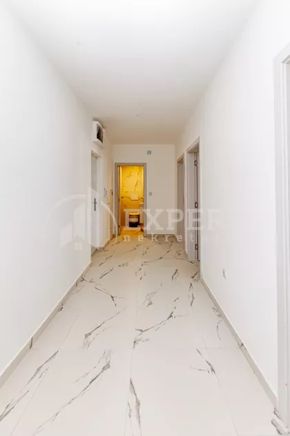 Vase Pelagića | 4zida.rs