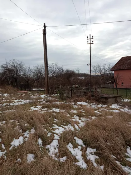 Dračka | 4zida.rs