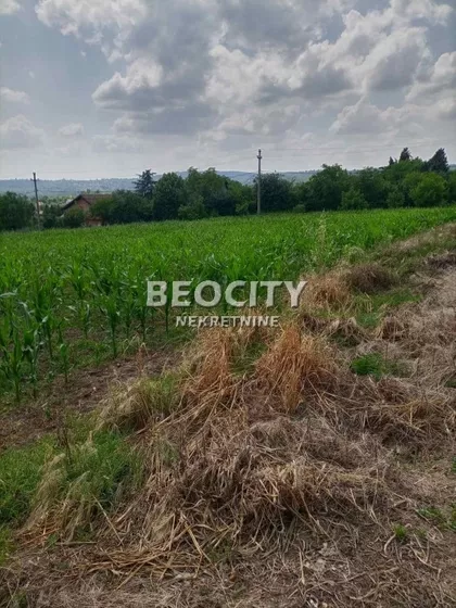 Zmaj Jovina | 4zida.rs