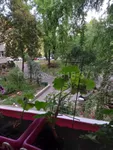 Beograd, Voždovac opština, Braće Jerković | 4zida.rs | 4zida.rs