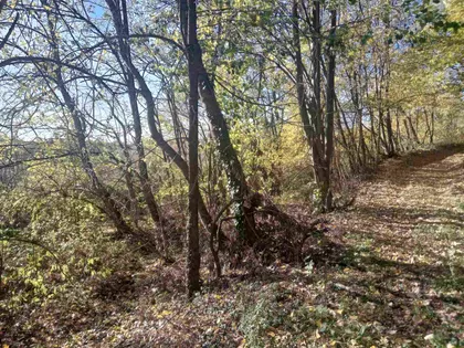 Živkovci | 4zida.rs