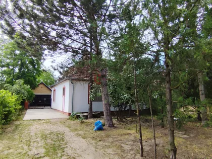 Zorka | 4zida.rs