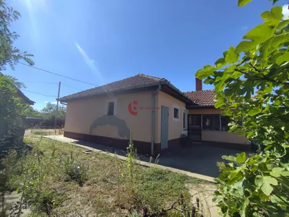 Zorka | 4zida.rs