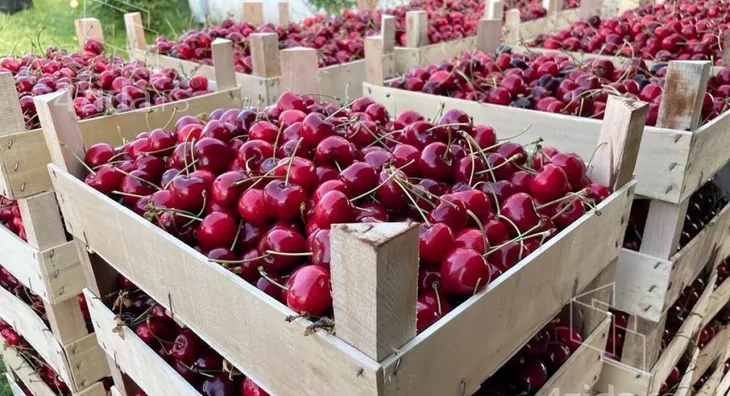 Poljoprivredno zemljište | 4zida