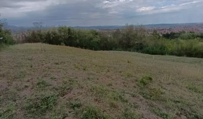 Plac | 4zida
