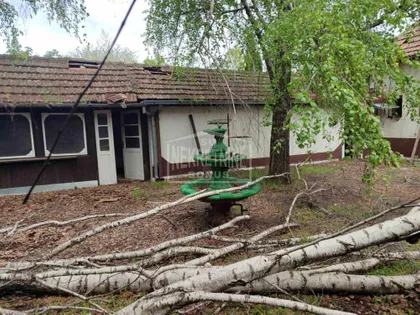 Palić | 4zida.rs