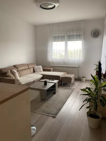 Bulevar Patrijarha Pavla | 4zida.rs