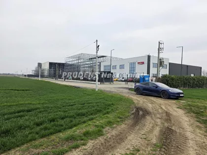 Dobanovci | 4zida.rs