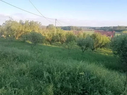 Kubršnička 24 | 4zida.rs