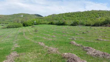 Gornja Bela Reka