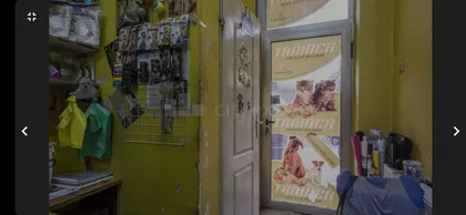 Nova Detelinara | 4zida.rs