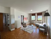 Nova Detelinara, Detelinara, Gradske lokacije, Novi Sad | 4zida.rs | 4zida.rs