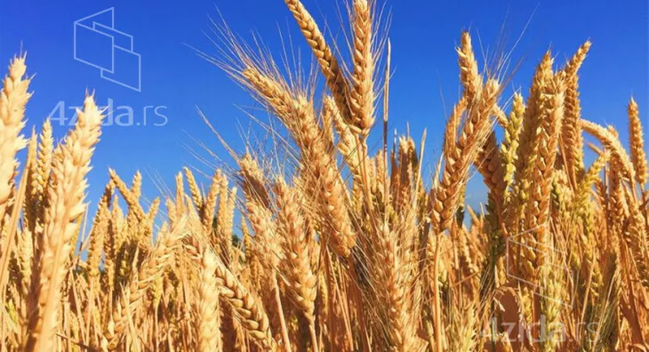 Poljoprivredno zemljište | 4zida