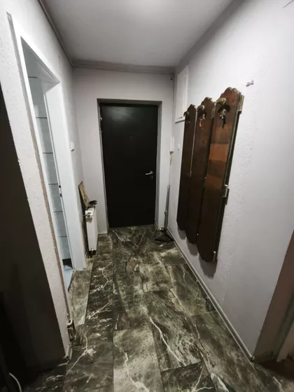 Žarka Zrenjanina | 4zida.rs