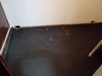 Nova Detelinara | 4zida.rs