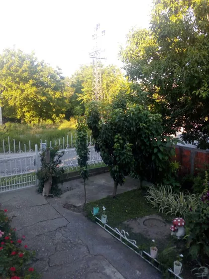 Cara Lazara | 4zida.rs