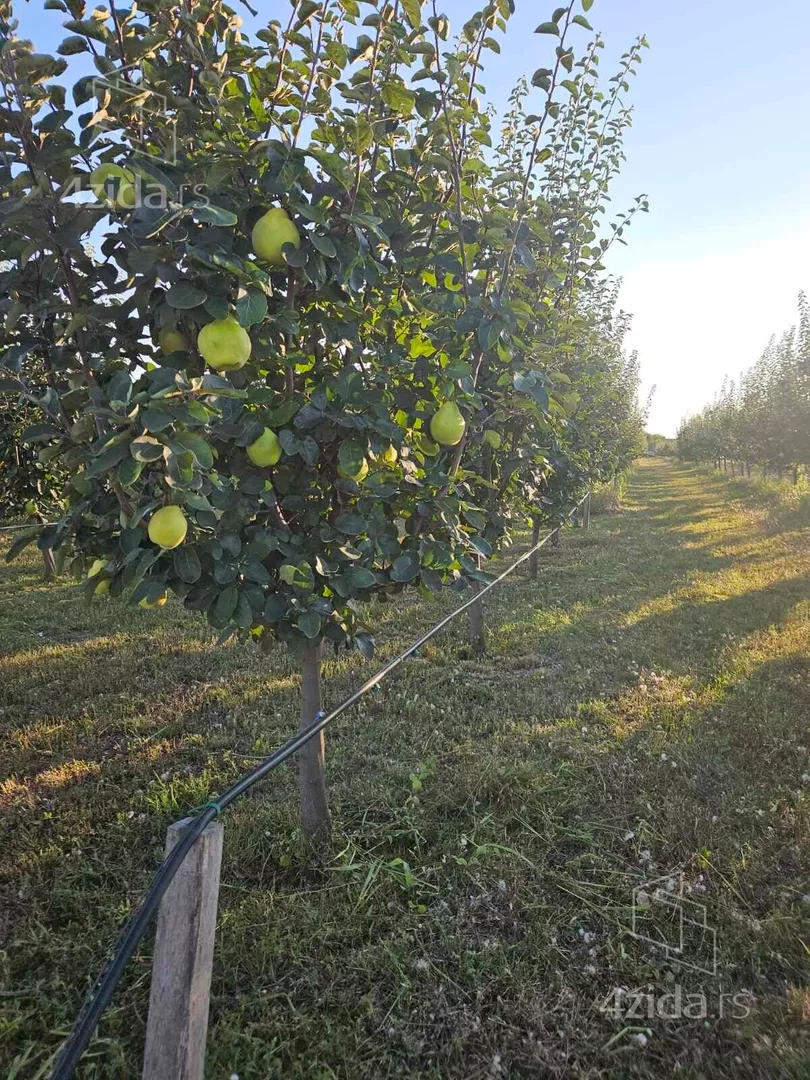 Poljoprivredno zemljište | 4zida