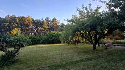 Dragiše Vitoševića | 4zida.rs