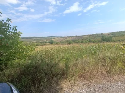 Ravanička | 4zida.rs