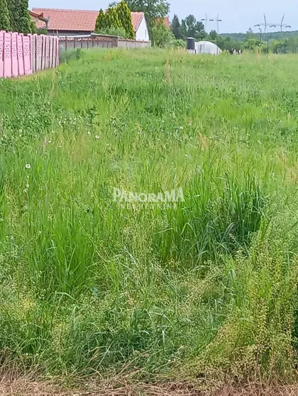 Valjevska | 4zida.rs