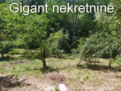 Niš - Palilula | 4zida.rs