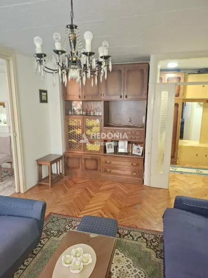 Svetozara Papića | 4zida.rs