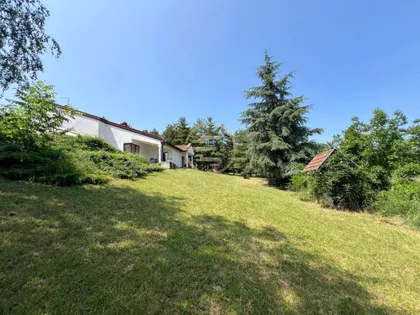Sremska Kamenica | 4zida.rs
