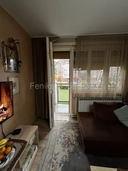 Dr Nika Miljanića | 4zida.rs