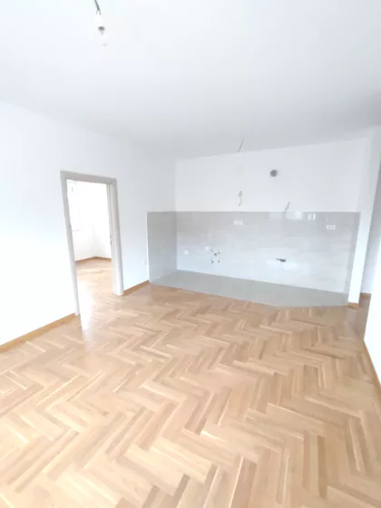 Cara Dušana | 4zida.rs