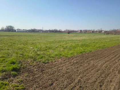 Augusta Cesareca | 4zida.rs