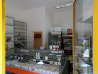 Lokal | 4zida