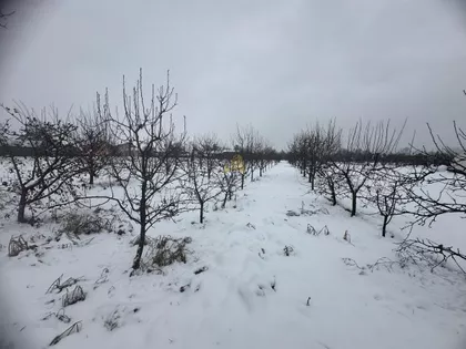 Mijatovac | 4zida.rs