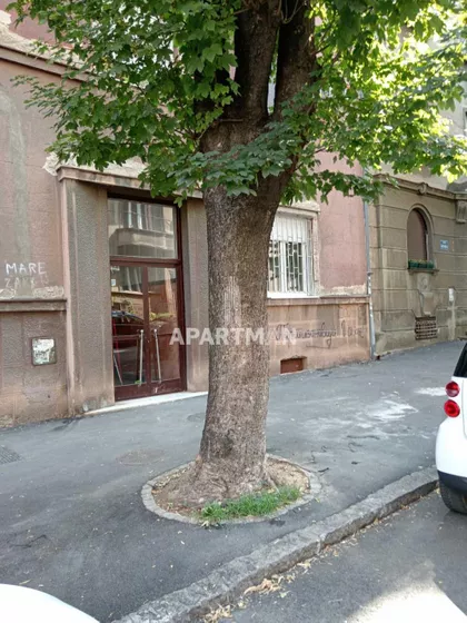 Zahumska | 4zida.rs