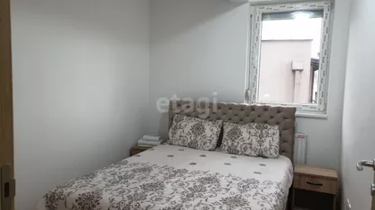 Vitezova Karađorđeve Zvezde | 4zida.rs