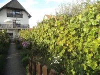 Kragujevac, Gradske lokacije, Šumarice | 4zida.rs | 4zida.rs