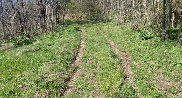 Poljoprivredno zemljište | 4zida