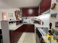 Novi Sad, Gradske lokacije, Telep | 4zida.rs | 4zida.rs