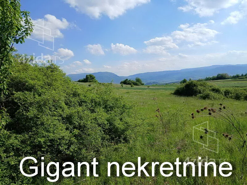 Plac | 4zida