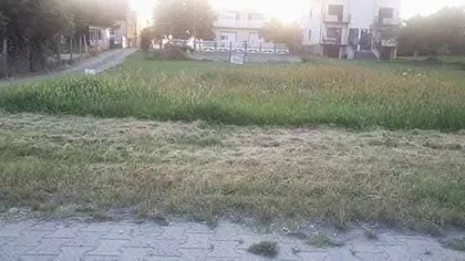 Sentandrejski Put | 4zida.rs
