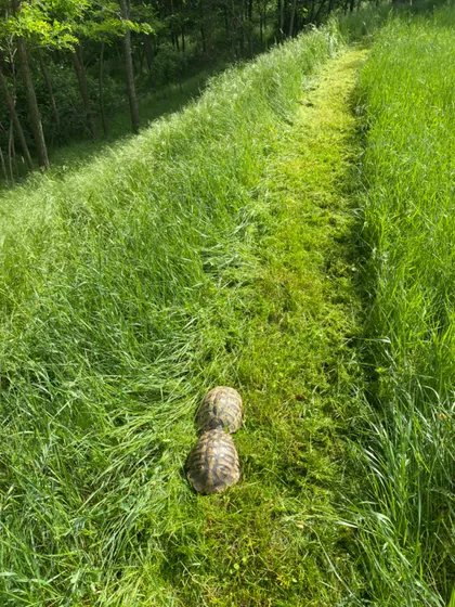 Đure Daničića bb | 4zida.rs